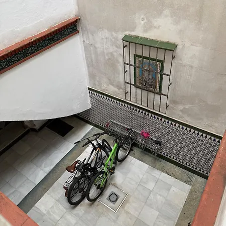 Authentic Andalusian In Downtown Sevilla